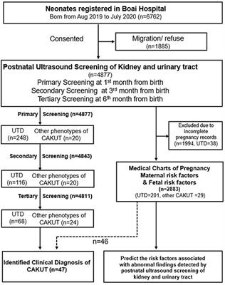 Risk Factors Associated With Renal and Urinary Tract Anomalies Delineated by an Ultrasound Screening Program in Infants